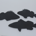 Fish Targets