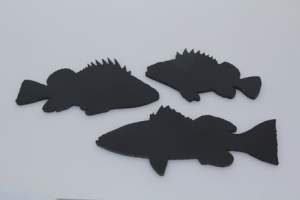 Custom Fish Cutouts